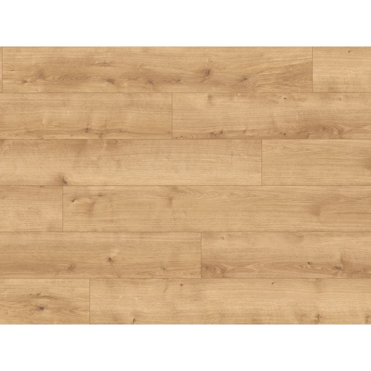 E-shop PARADOR Dizajnová podlaha Modular ONE dub Pure prírodná 1285x194x 8 mm (1730766)