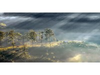 Bondecor Obraz, tlačené plátno Scenerie 50 x 100 cm