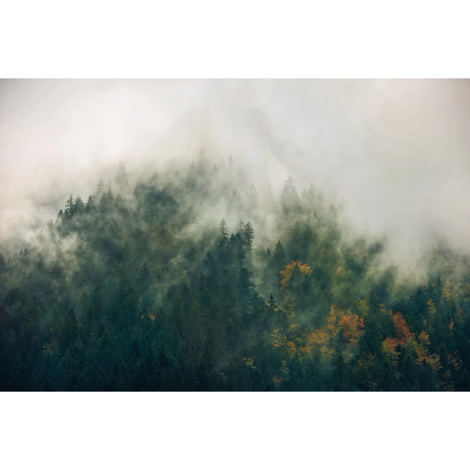 E-shop Komar Vliesová fototapeta Tales of the Carpathians, 300 x 200 cm