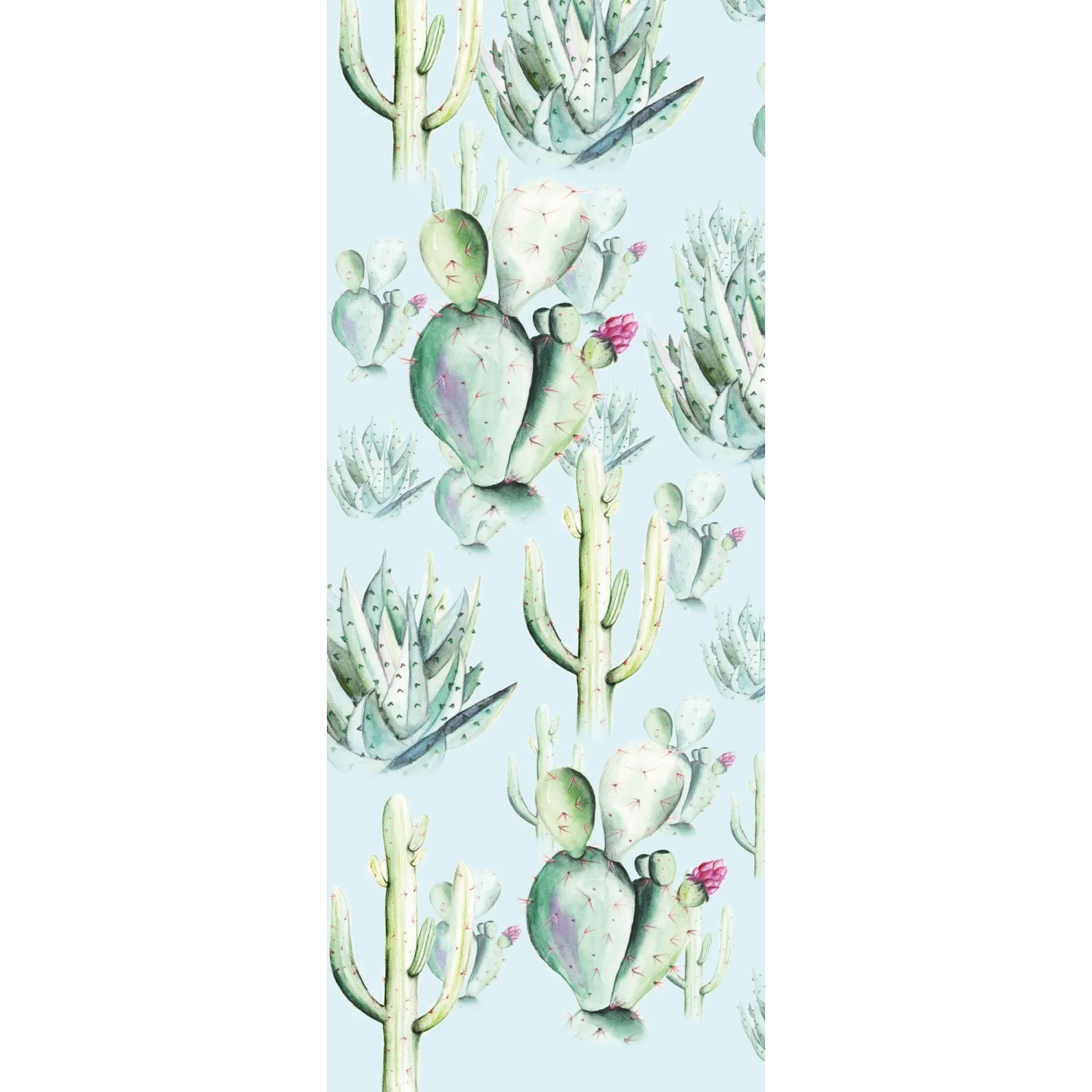 E-shop Komar Vliesová fototapeta Cactus Blue 100 x 250 cm