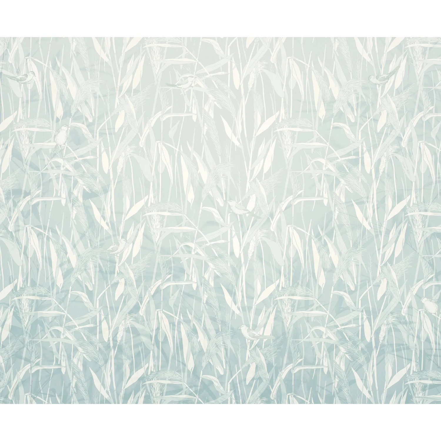 E-shop Komar Vliesová fototapeta Reed 300 x 250 cm