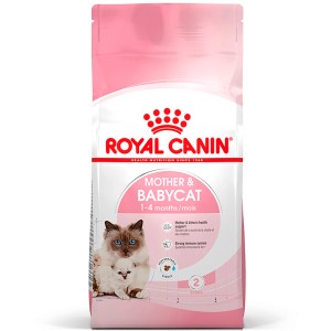 Royal Canin Mother and Babycat 2kg krmivo pre mačky pre matky a mačiatka.