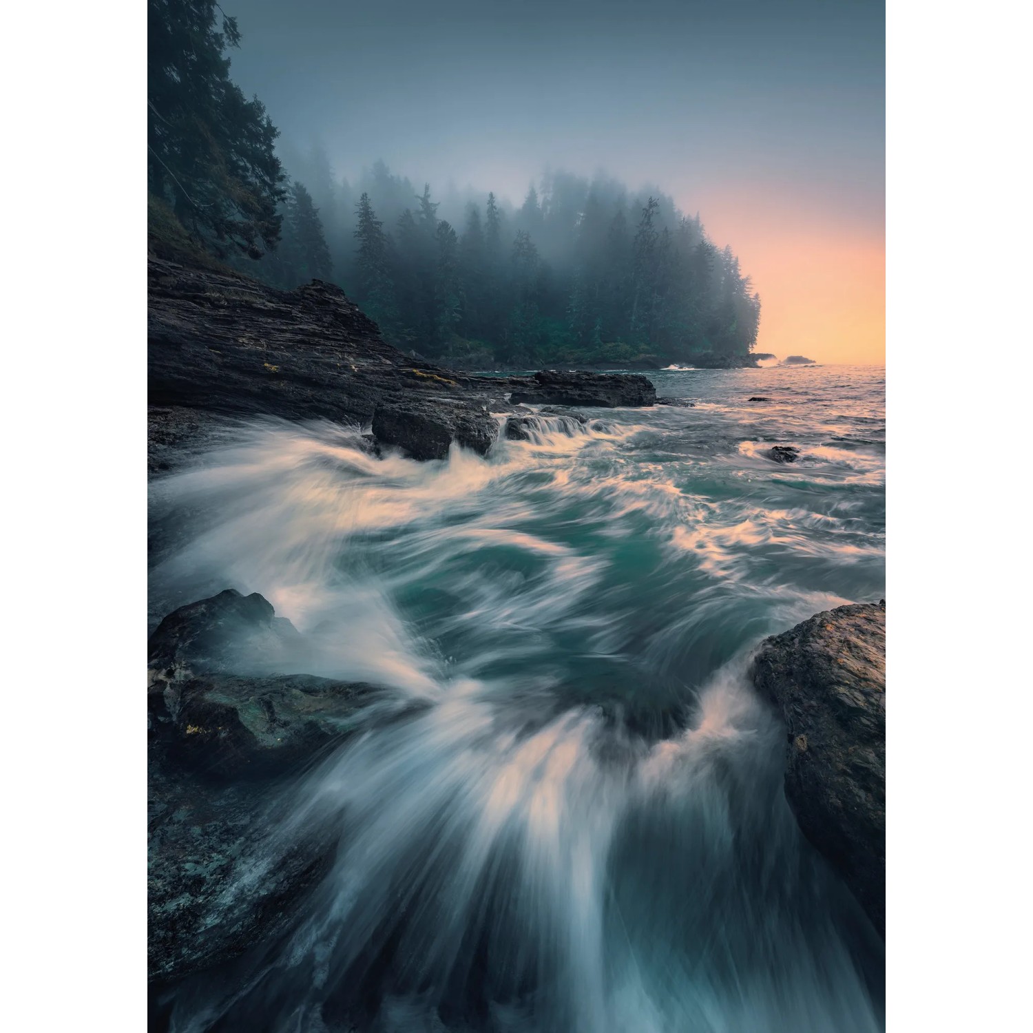 E-shop Komar Vliesová fototapeta Cry of the Sea 200 x 280 cm