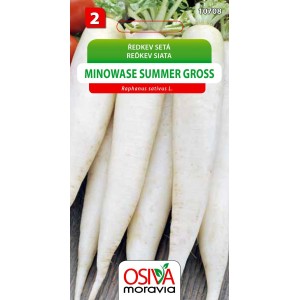 Balíček semien reďkovky Minowase Summer Gross, semená zeleniny do záhrady.