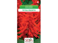 Semienka Šalvia žiarivá Tetra Pronto (Salvia splendens)