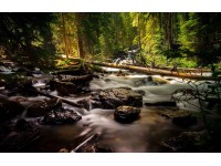 Bondecor Obraz, tlačené plátno Krajina 70 x 110 cm