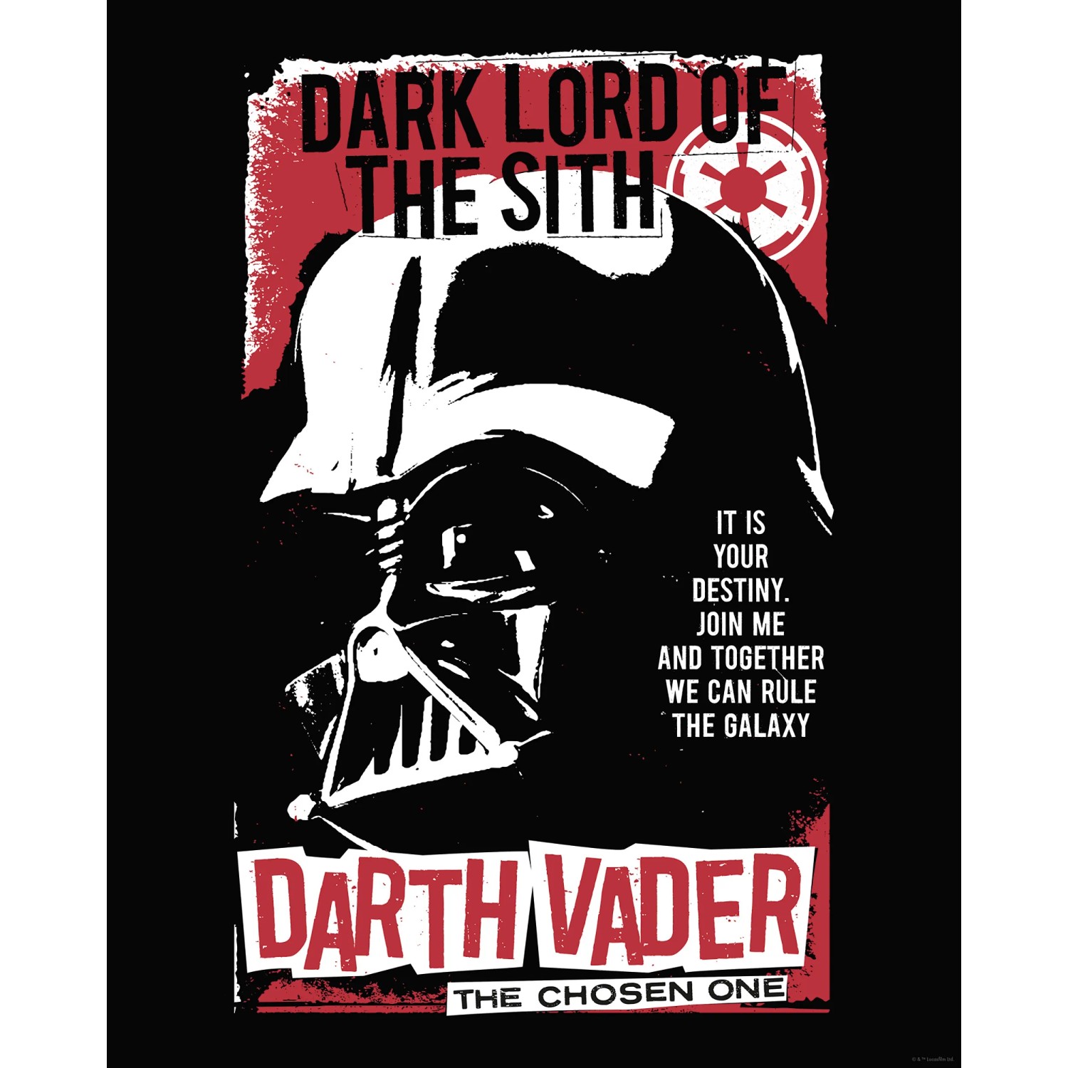E-shop Komar Plagát Star Wars The Chosen One 40 x 50 cm