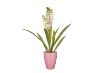 Mica Umelá rastlina Aloe Vera v kvetináči krémová pr. 30,5 x 43 cm