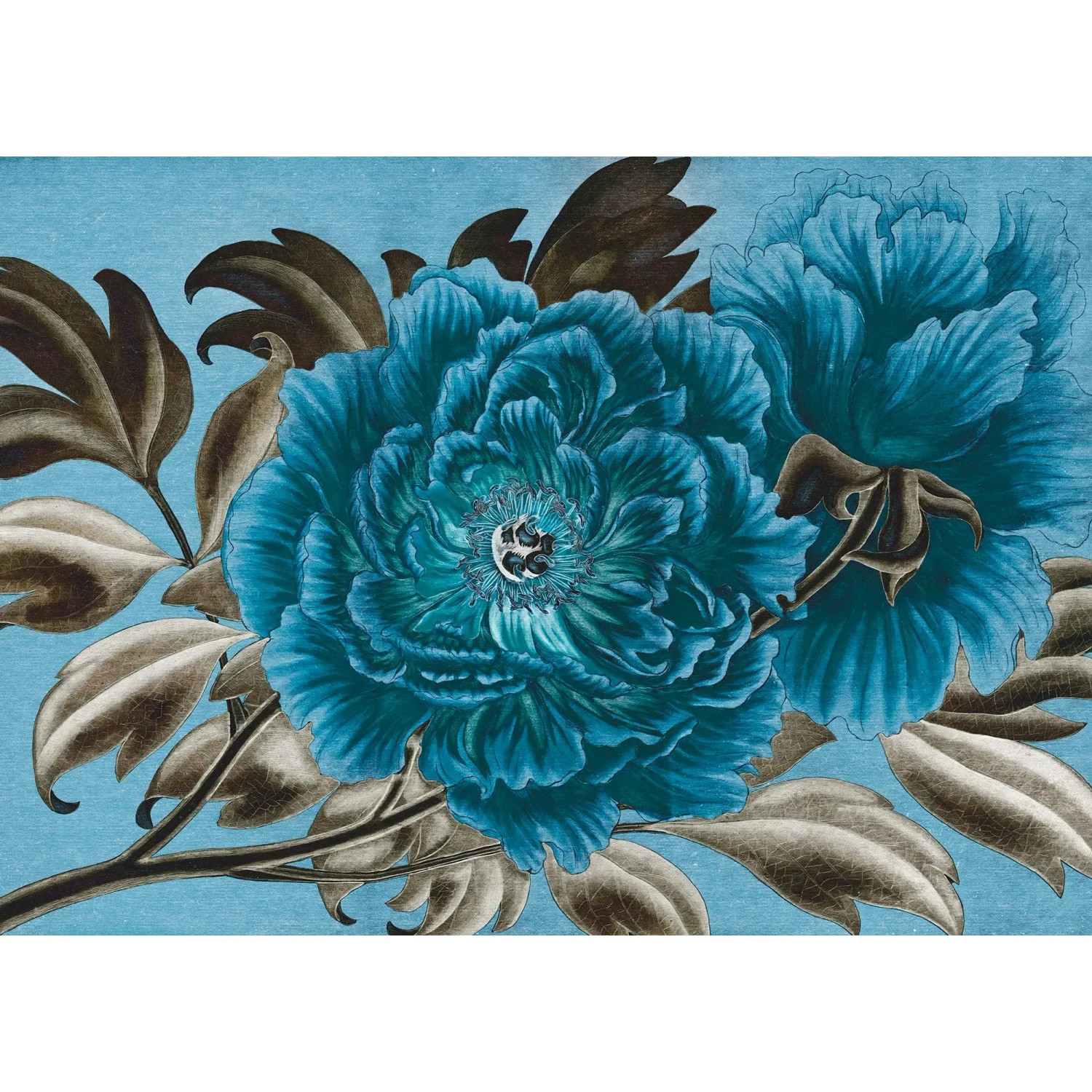 E-shop Komar Vliesová fototapeta Royal Peony 350 x 250 cm