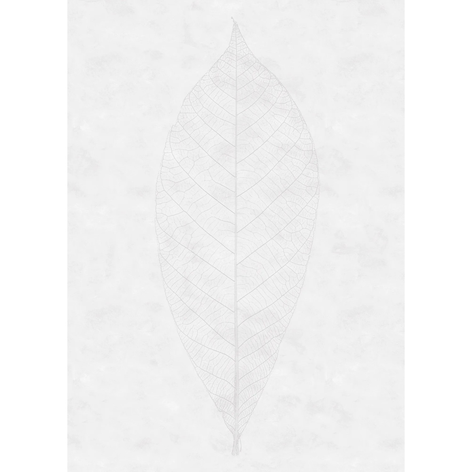 E-shop Komar Vliesová fototapeta Decent Leaf 200 x 280 cm