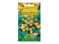 Gardenie Rajčiak kríčkový balkónový AZTEK žltý