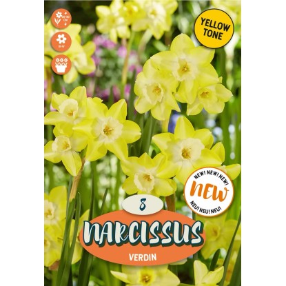 Royal De Ree Holland Kvetinové cibuľky Narcissus Verdin 8 ks