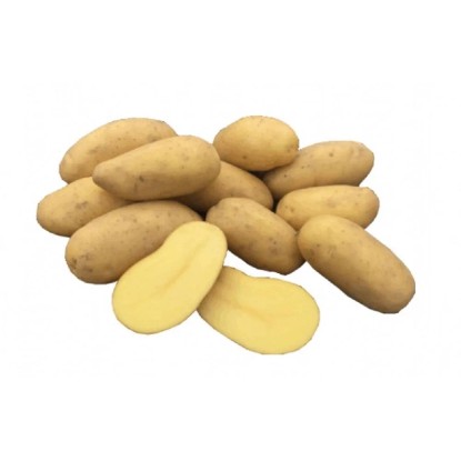 Organické sadbové zemiaky "Sunita", 1 kg