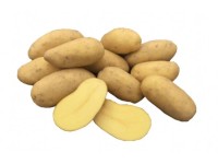 Organické sadbové zemiaky 