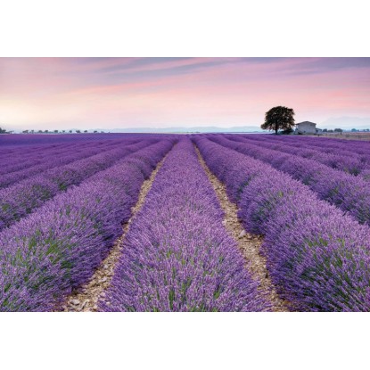Komar Vliesová fototapeta Provence 400 x 260 cm