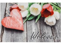 Astra Rohožka na čistenie obuvi Deco Print 40 x 60 cm srdce červená Astra Rohožka na čistenie obuvi Deco Print 40 x 60 cm srdce červená