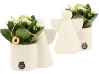 Aranžmán s kolopejkou (Kalanchoe blossfeldiana) v keram. kv. 