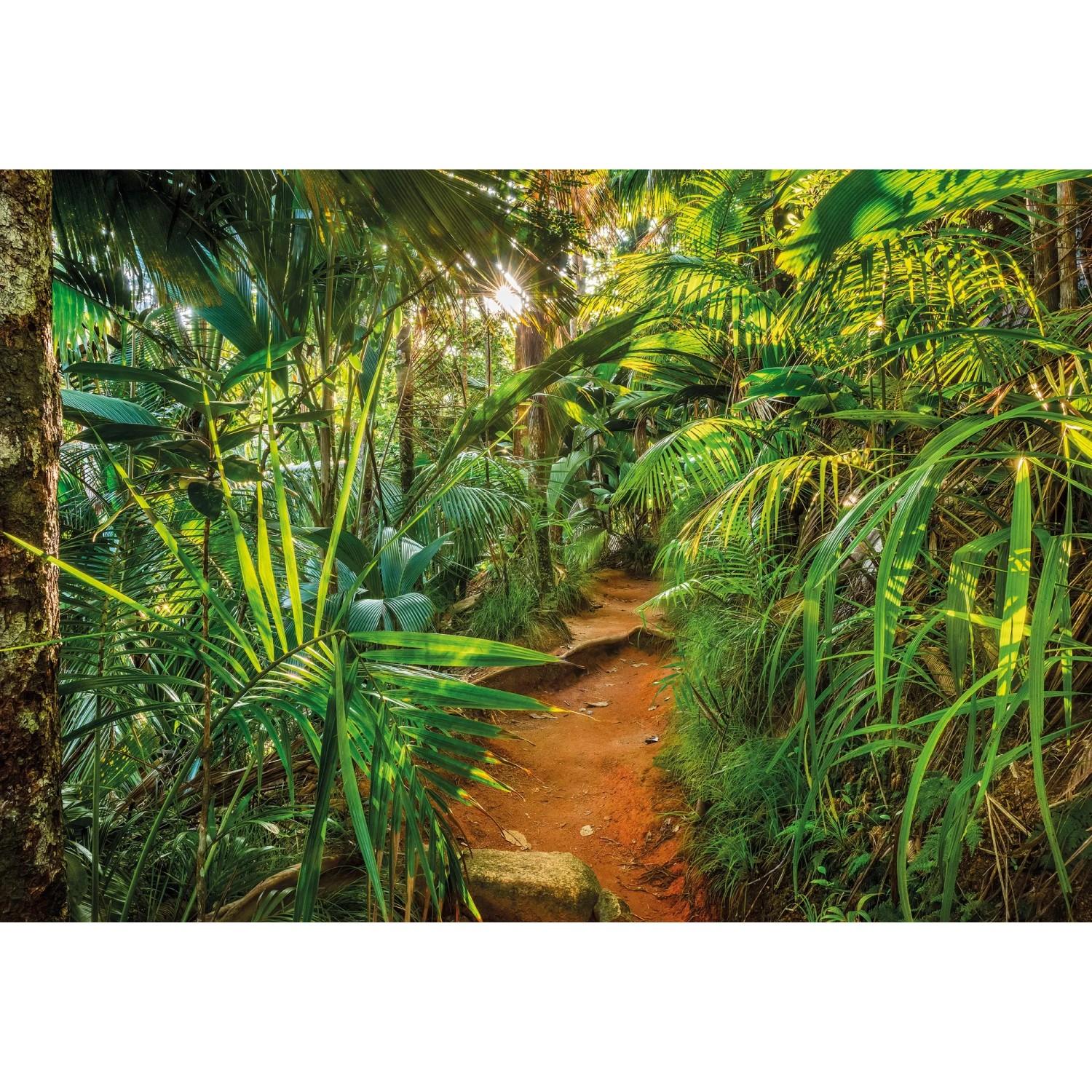 E-shop Komar Papierová fototapeta Jungle Trail, 368 x 254 cm