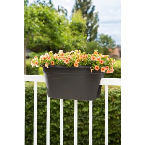 Florus Mediterran 2-Way kvetináč na zábradlie, 50 cm, terakota, s oranžovými kvetmi na bielom zábradlí.