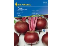KIEPENKERL Červená repa (Beta vulgaris var. vulgaris) Pablo, F1