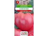 Semienka Rajčiak kolíkový Cuor di Bue (Solanum lycopersicum)