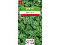 Semienka Špenát siaty America (Spinacea oleracea)