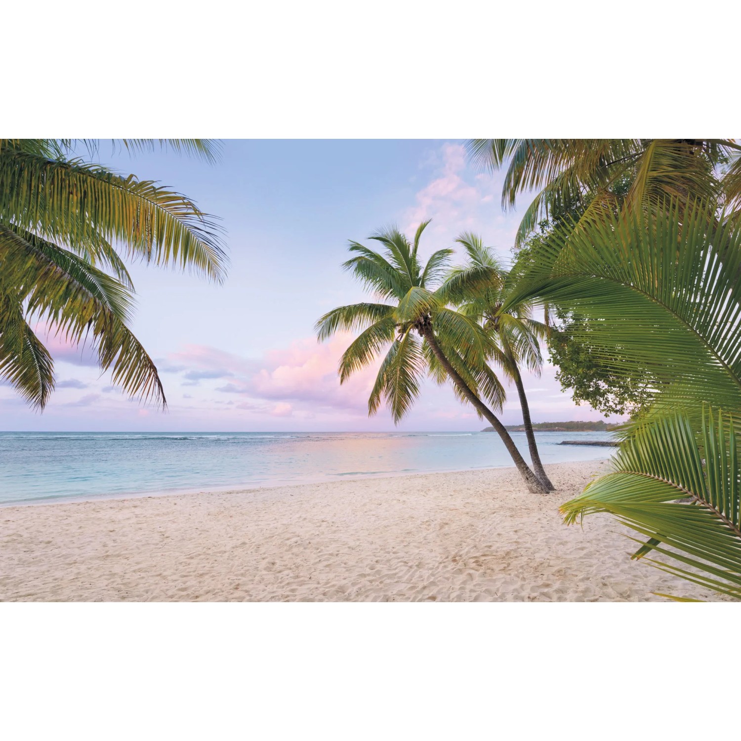 E-shop Komar Vliesová fototapeta Paradise Morning 400 x 250 cm