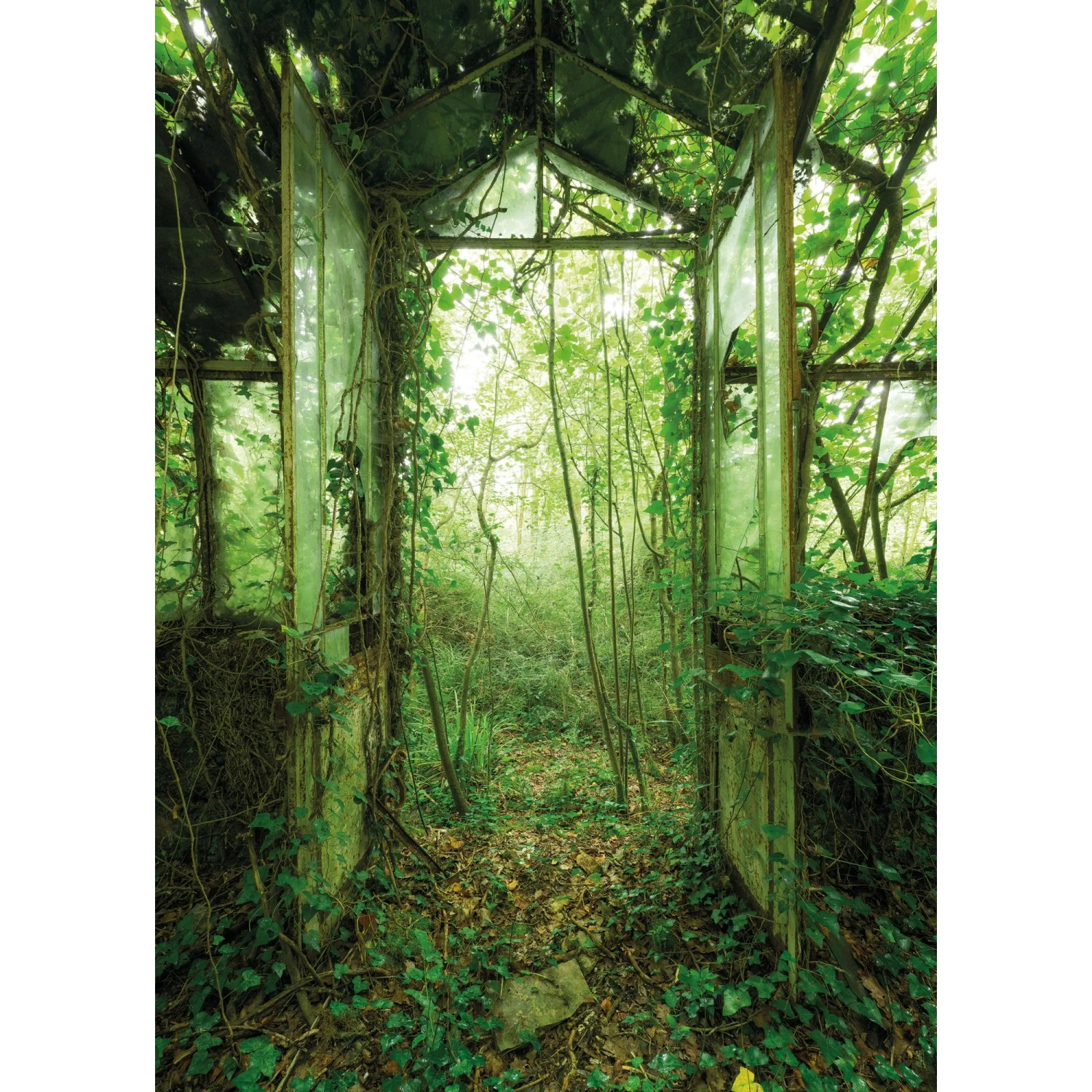 E-shop Komar Vliesová fototapeta Greenhouse 200 x 280 cm