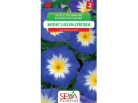 OSIVA Moravia Pupenec trojfarebný - modrý s bielym stredom(Convolvulus tricolor)