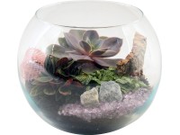 Aranžmán zo zelených rastlín v sklenenej nádobe pr. kvetináča cca 20 cm