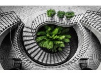 Bondecor Obraz, tlačené plátno Trendy 70 x 110 cm