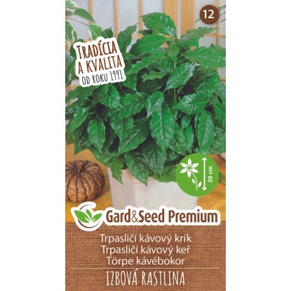 GardenSeed Premium Semienka izbovej rastliny Trpasličí kávový ker