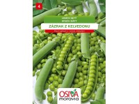 Semínka Hrach siaty 