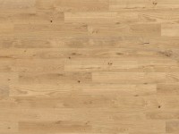 Living by Haro Vzorka podlahy sedliacka doska 2V dub strukurovaný 180x290x12 mm Living by Haro Vzorka podlahy sedliacka doska 2V dub strukurovaný 180x290x12 mm