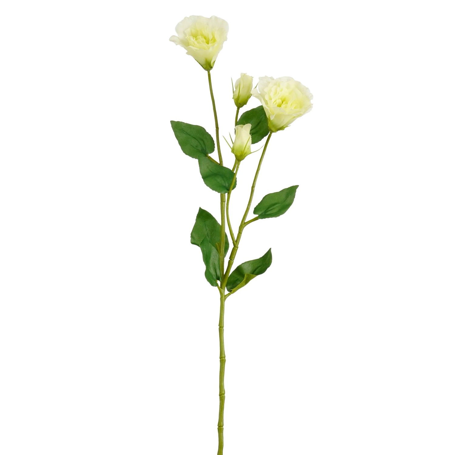 E-shop Mica Umelá kvetina eustoma svetlo zelená 72 cm