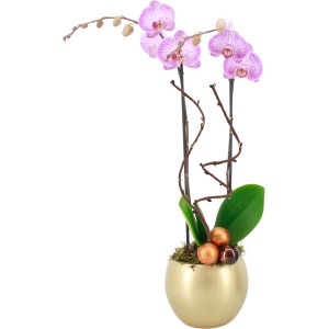 Orchideové aranžmán v zlatom okrúhlom kvetináči (Ø 15 cm) s ružovými kvetmi a vianočnou dekoráciou.