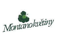 MONTANO KVĚTINY