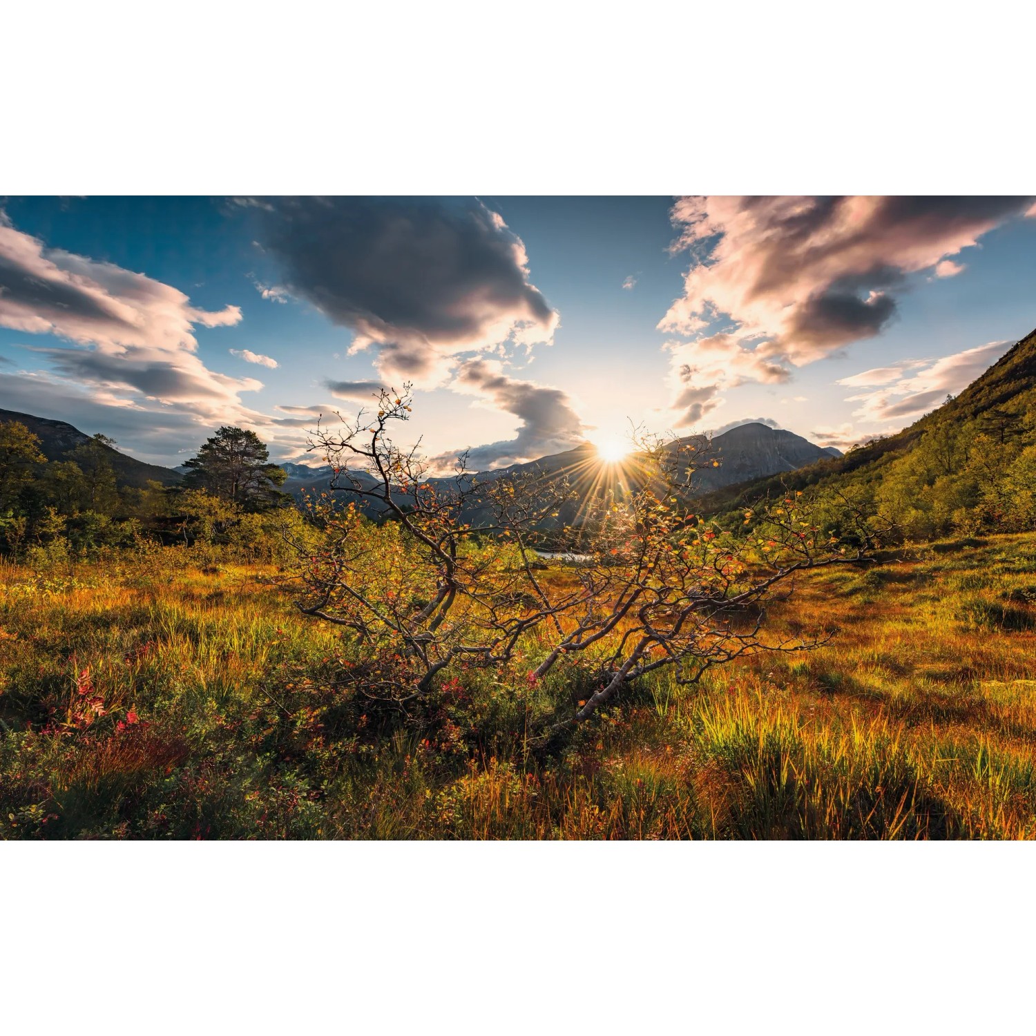 E-shop Komar Vliesová fototapeta Norwegische Herbstwelten 450 x 280 cm