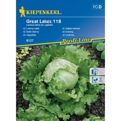 KIEPENKERL Ľadový šalát (Lactuca sativa var.capitata) Great Lakes 118