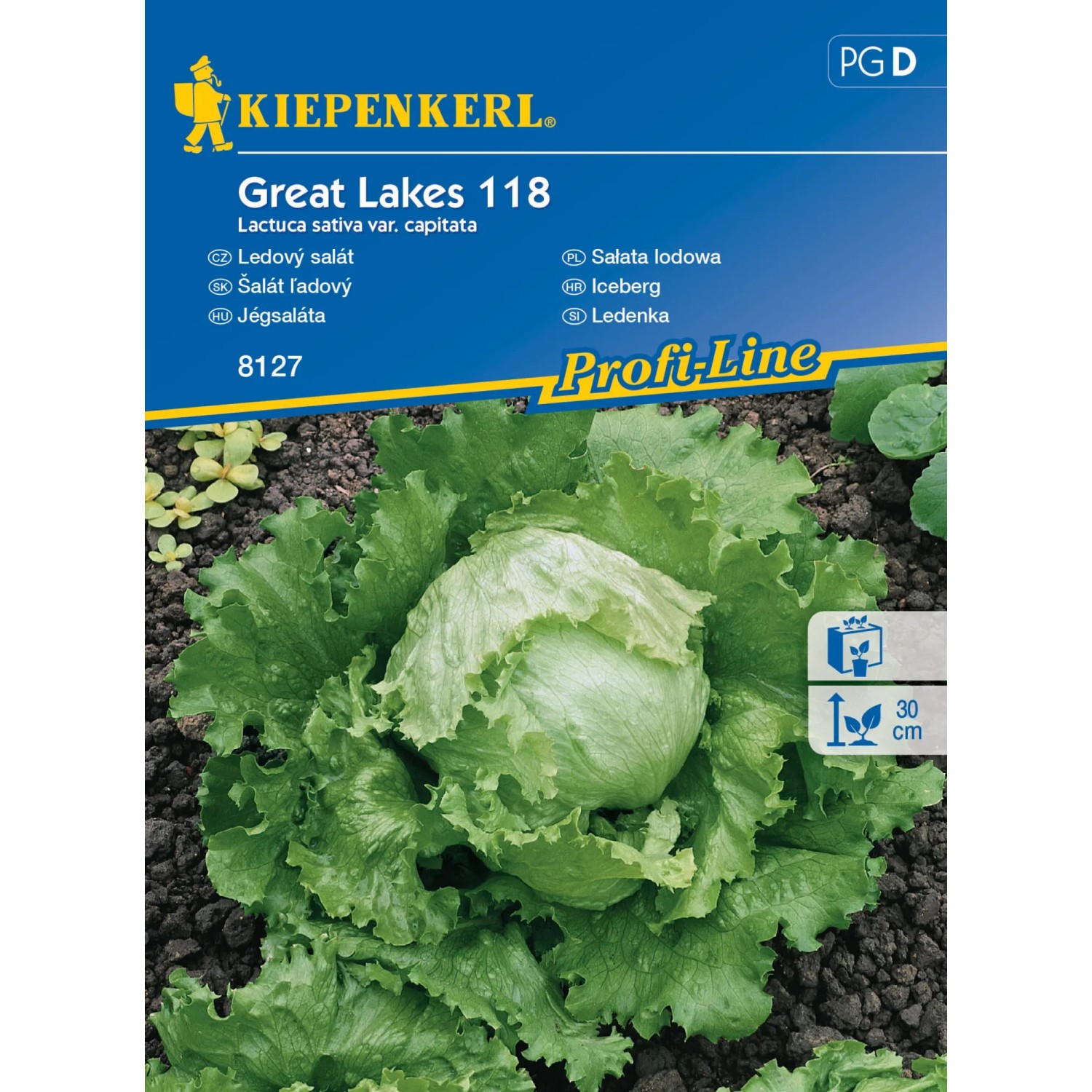 E-shop KIEPENKERL Ľadový šalát (Lactuca sativa var.capitata) Great Lakes 118