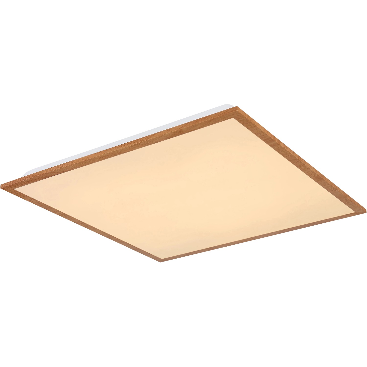 E-shop DORO Stropné svietidlo 1xLED 24W