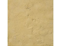 Semmelrock Platňa Bradstone Old Town pieskovcová, výška 6,8-7,4 cm, 3,15 m2