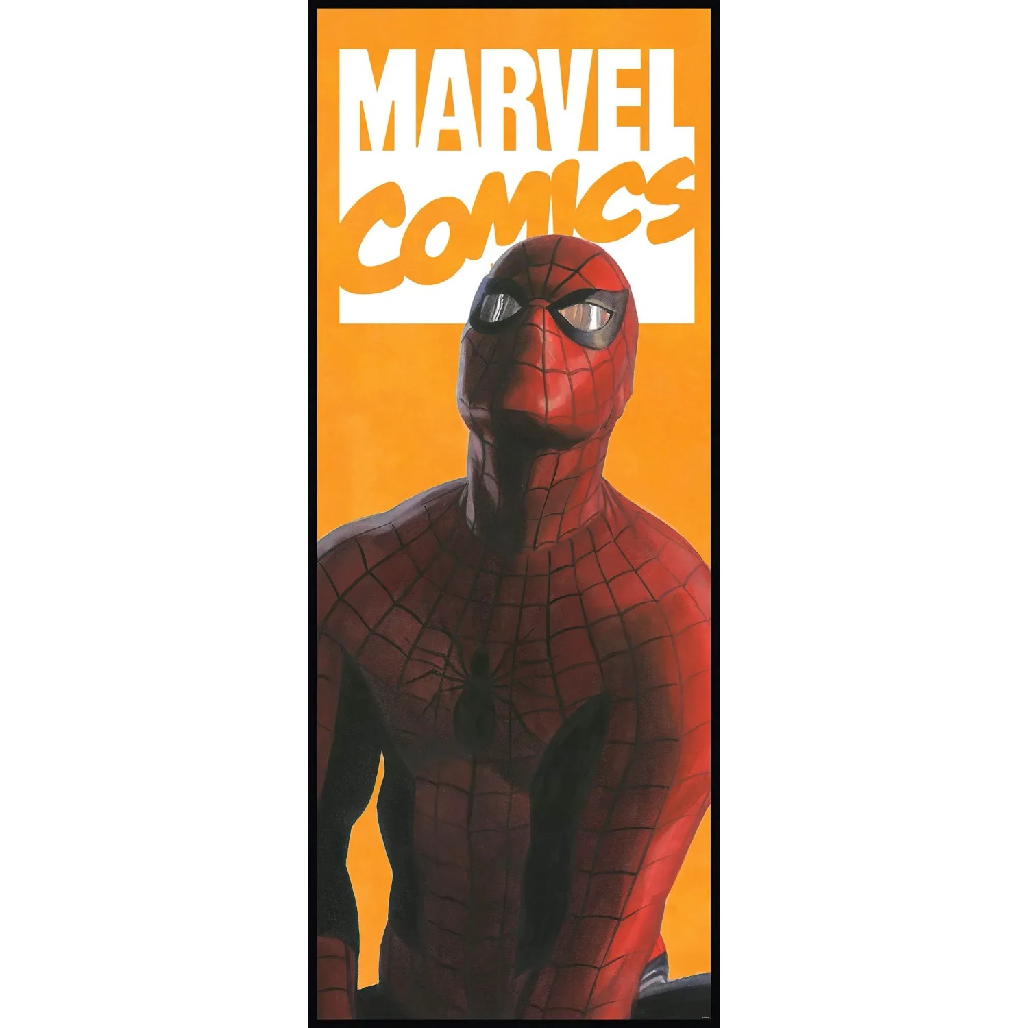 E-shop Komar Vliesová fototapeta Spider-Man Comic 100 x 250 cm