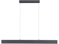 Just Light. Závesné LED svietidlo Nila, 2x19W, 2700-5000K, antracit, 121 x 120cm