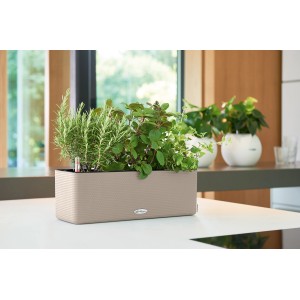 Kvetináč Lechuza Cube Color Triple, 40 cm, pieskovo hnedá, osadený bylinkami.