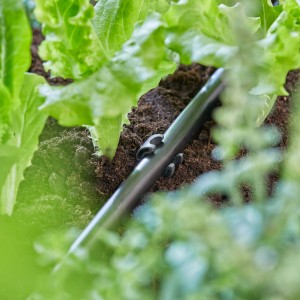 Držiak rúrky Gardena (13 mm) pri použití, zaisťuje zavlažovaciu rúrku v záhradnom záhone.