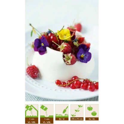 GardenSeed Premium Semienka Sirôtka (Viola X Wittrockiana) zmes - jedlé kv. 0,5g