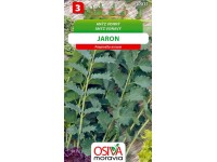 Osiva Moravia Semienka Aníz voňavý Jaron (Pimpinella anisum)