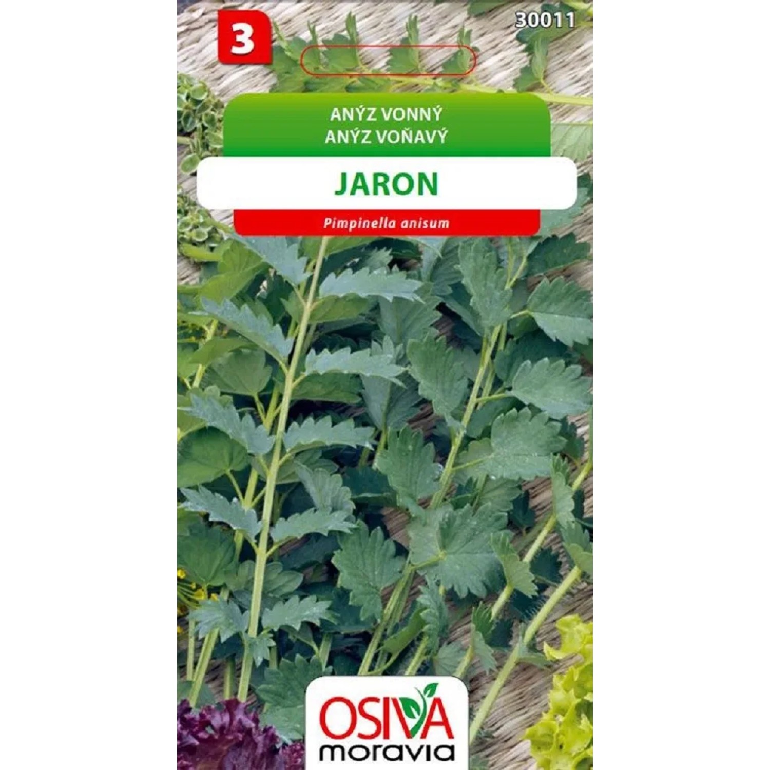 E-shop Osiva Moravia Semienka Aníz voňavý Jaron (Pimpinella anisum)