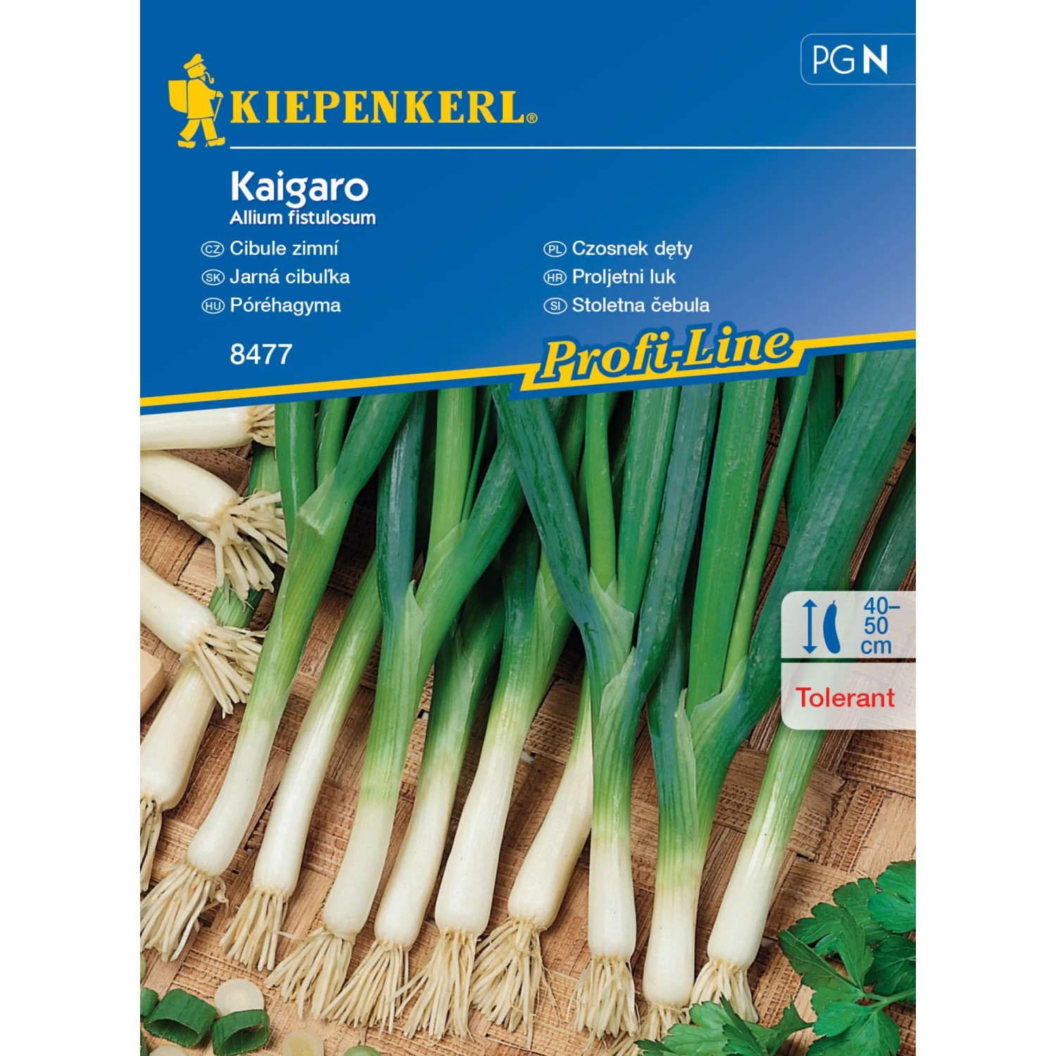 E-shop Kiepenkerl Semienka Jarná cibuľka Kaigaro